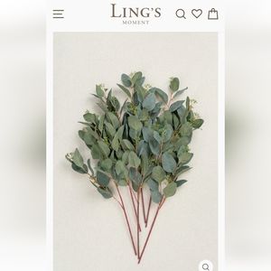 Sage Green Seeded Oval Eucalyptus